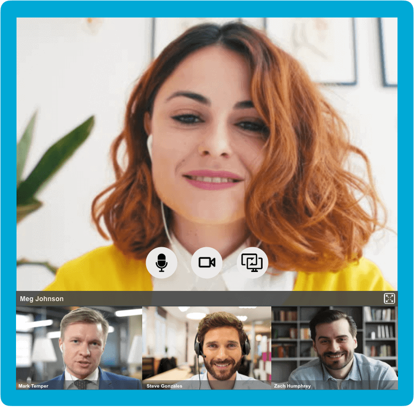 Intranet Video Conference Video Call