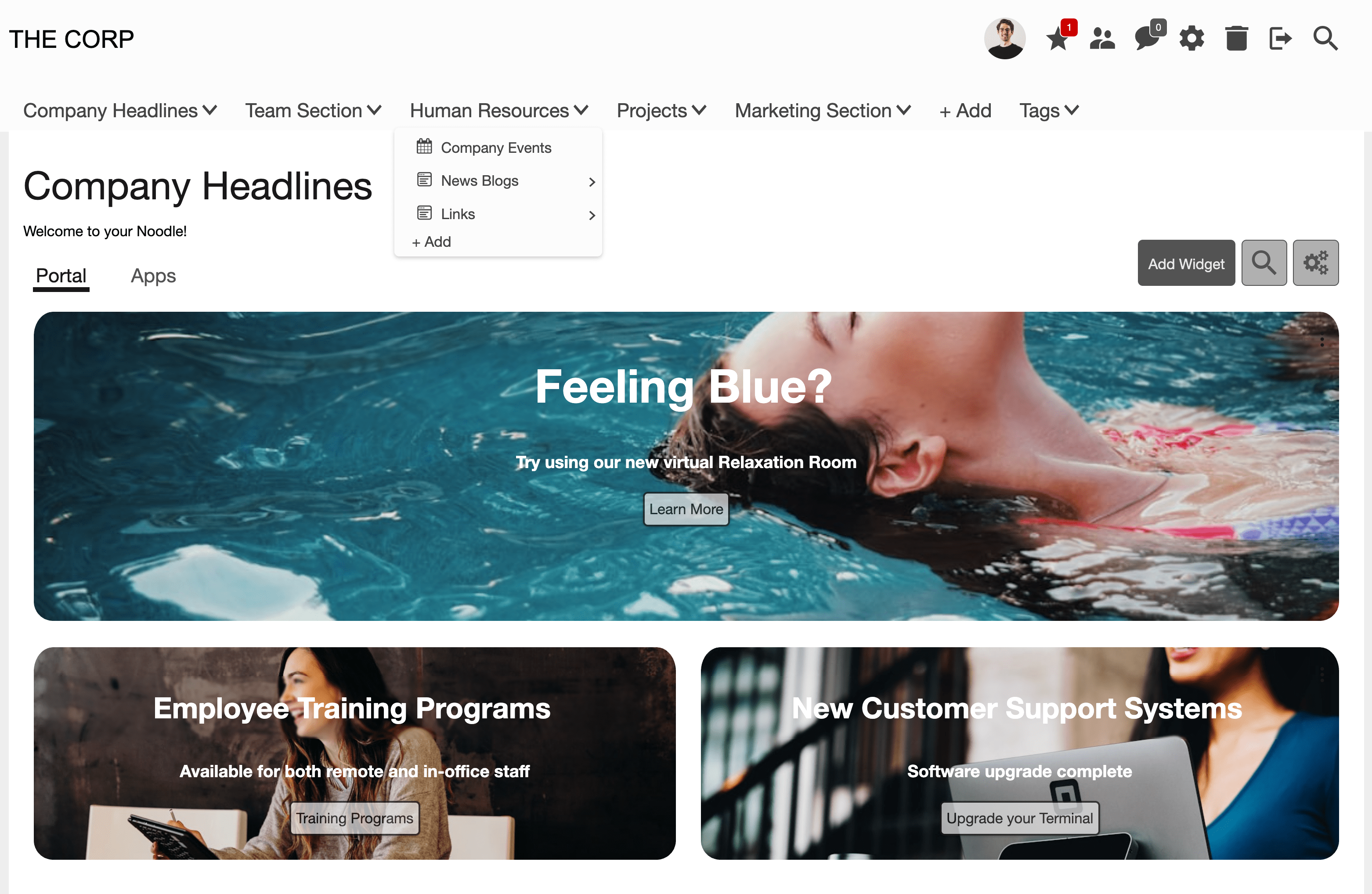 Noodle intranet screenshot
