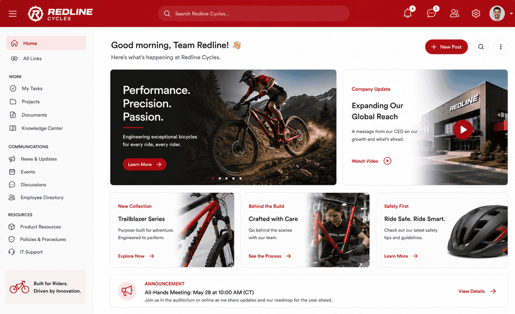 Noodle Bike Company