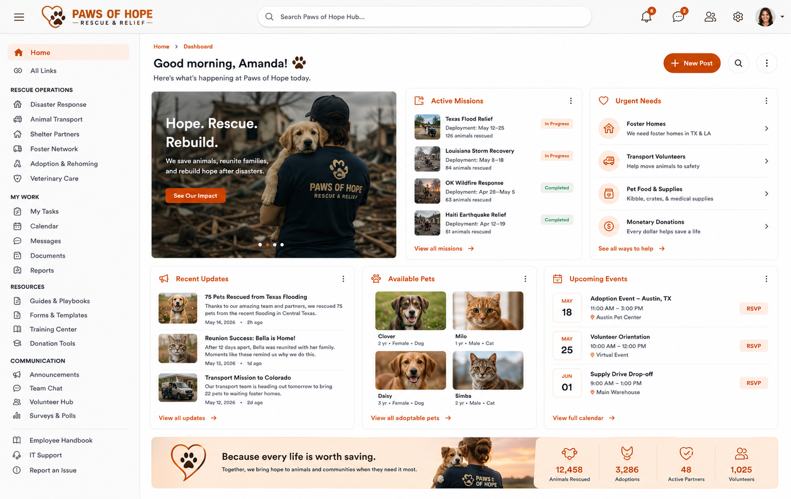 Noodle non profit